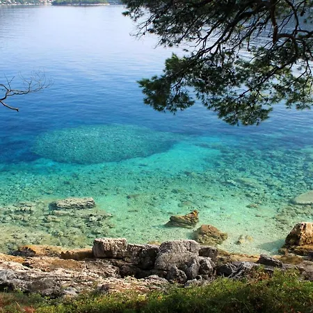 Apartments By The Sea Ubli, Lastovo - 8354